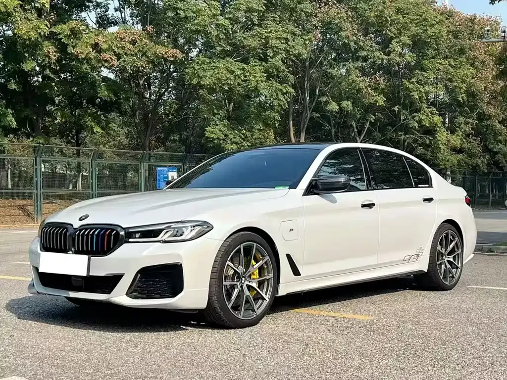 BMW 5 Series New Energy 2022 из CN, фото 1