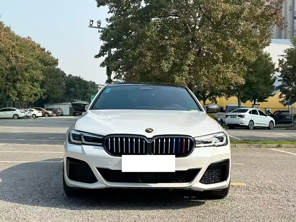BMW 5 Series New Energy 2022 из CN, фото 9