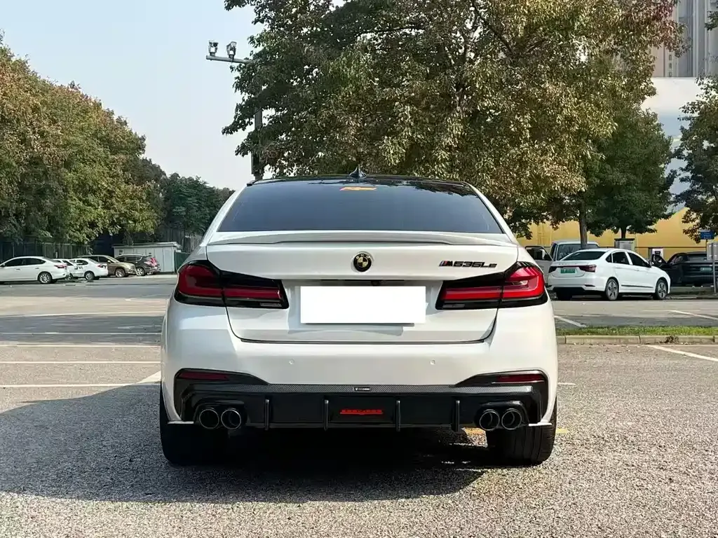 BMW 5 Series New Energy 2022 из CN, фото 7