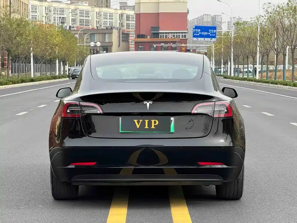 Tesla Model 3 2023 из CN, фото 4