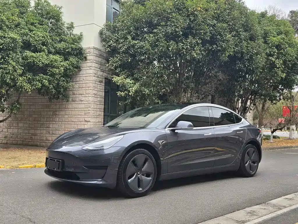 Tesla Model 3 2021 из CN, фото 1