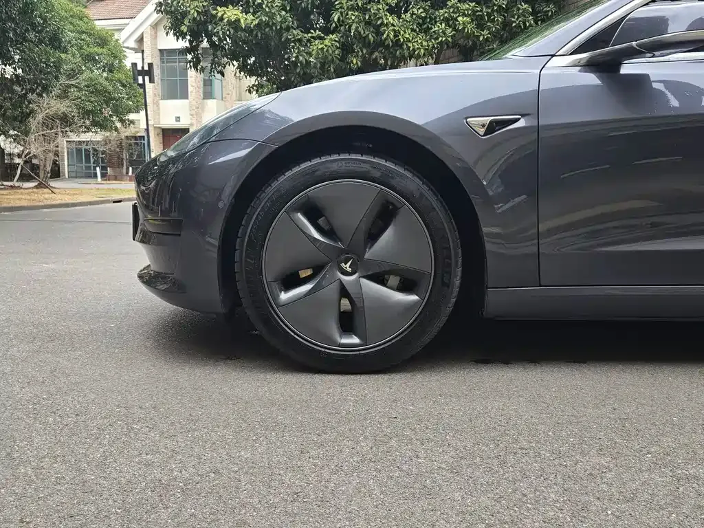 Tesla Model 3 2021 из CN, фото 5