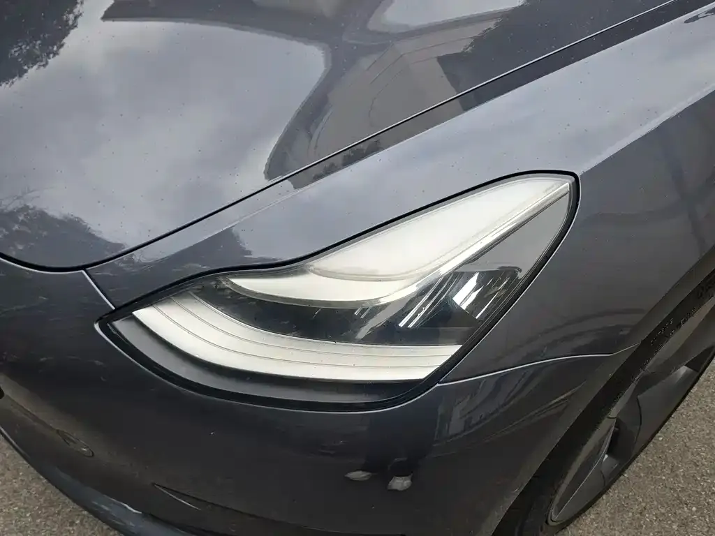 Tesla Model 3 2021 из CN, фото 2