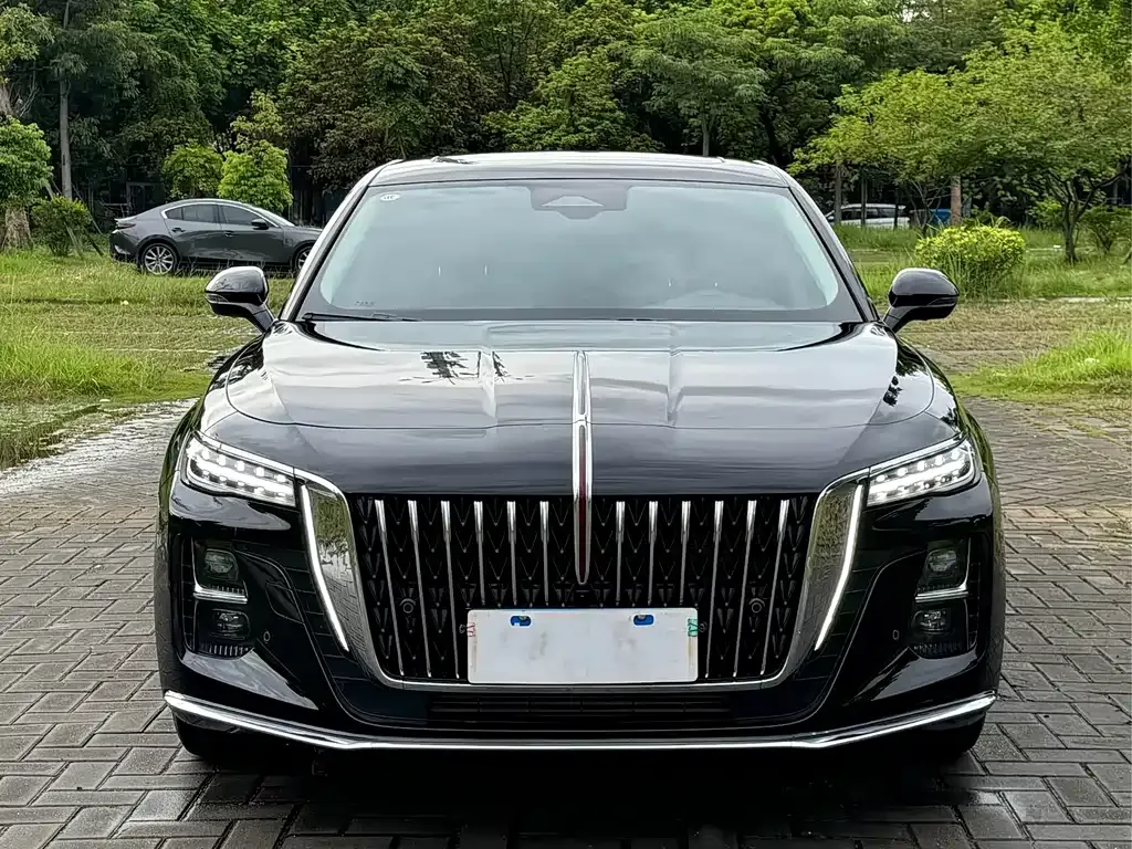 Hongqi H5 2024 из CN, фото 9