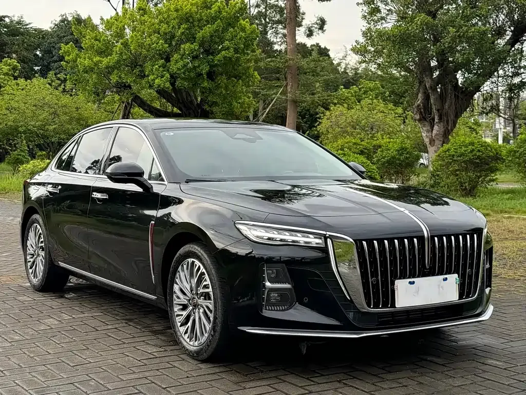 Hongqi H5 2024 из CN, фото 6