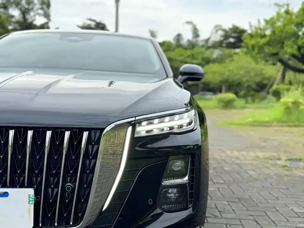 Hongqi H5 2024 из CN, фото 3