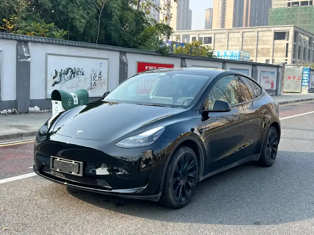 Tesla Model Y 2022 из CN, фото 1