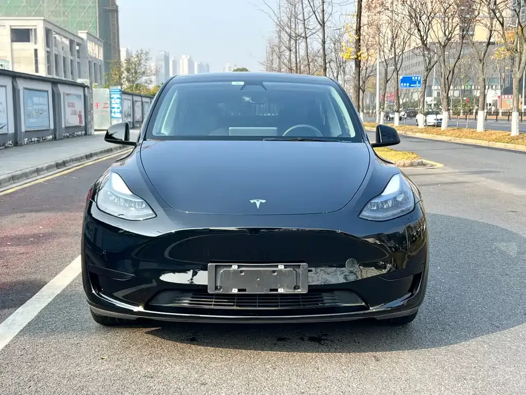 Tesla Model Y 2022 из CN, фото 2