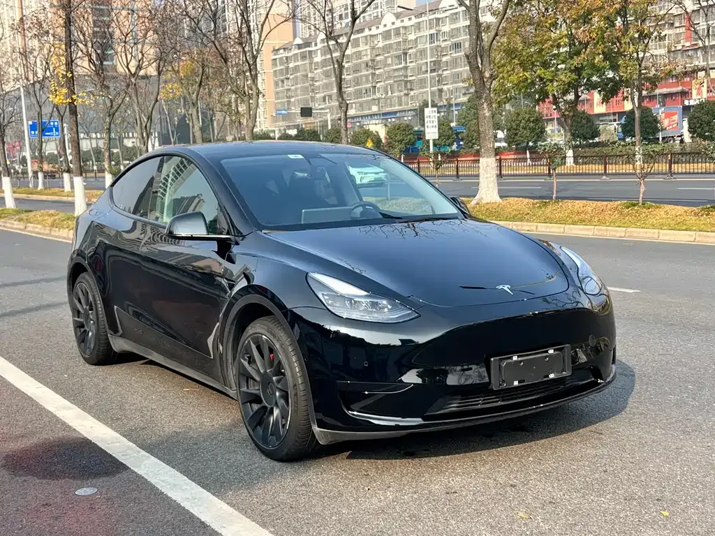 Tesla Model Y 2022 из CN, фото 3
