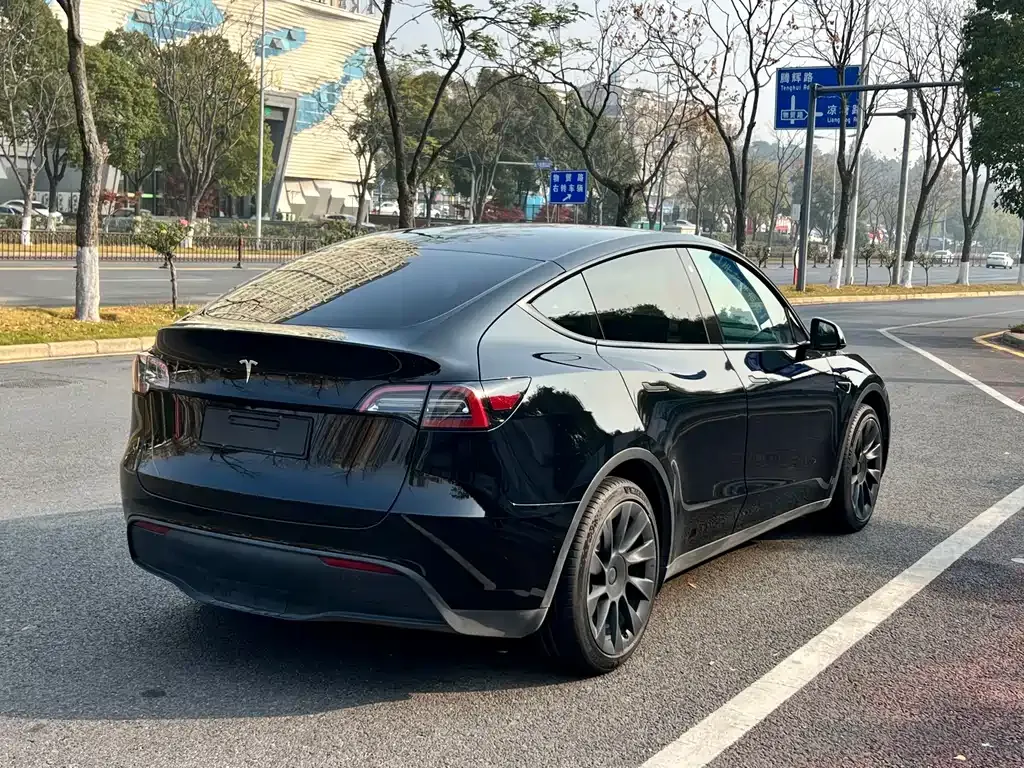 Tesla Model Y 2022 из CN, фото 4