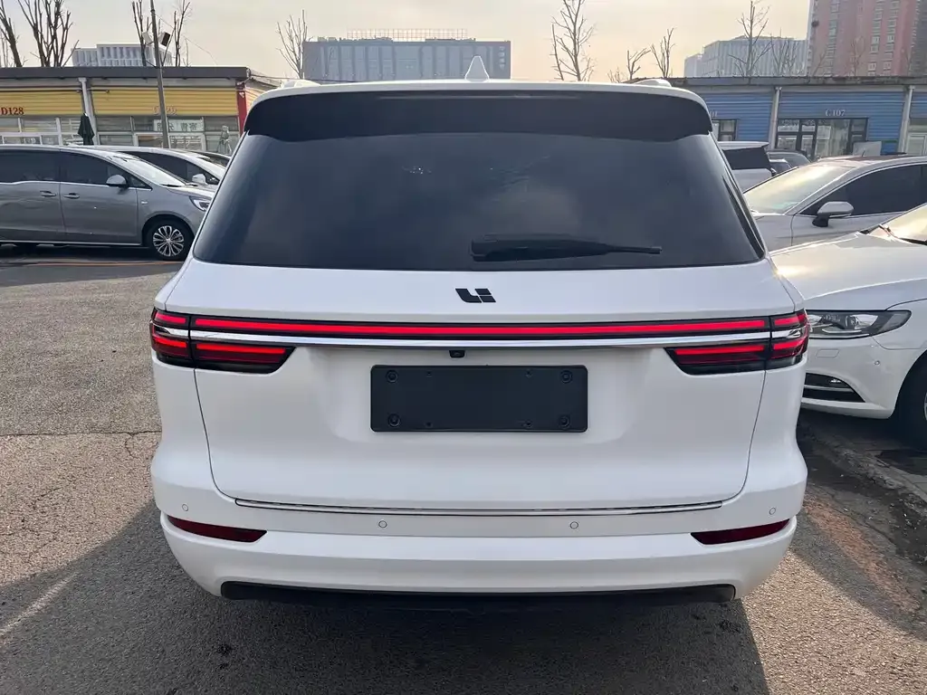 Li Auto ONE 2022 из CN, фото 4