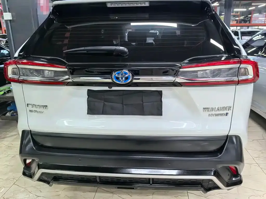 Toyota Wildlander 2023 из CN, фото 6