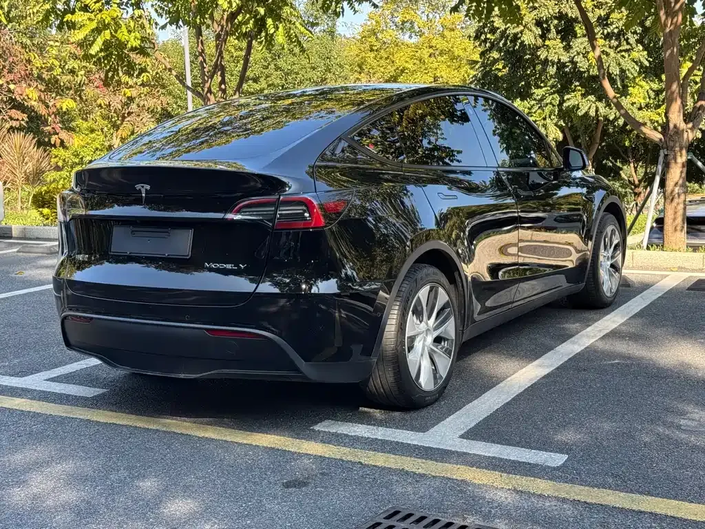 Tesla Model Y 2022 из CN, фото 6