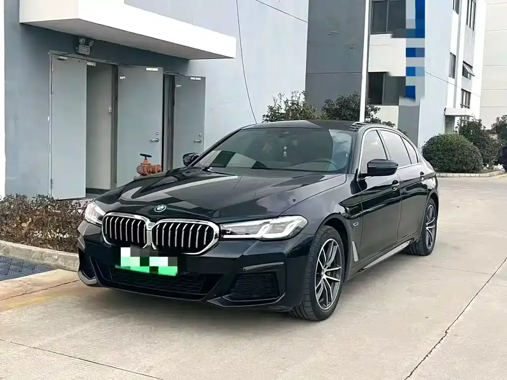 BMW 5 Series New Energy 2022 из CN, фото 4