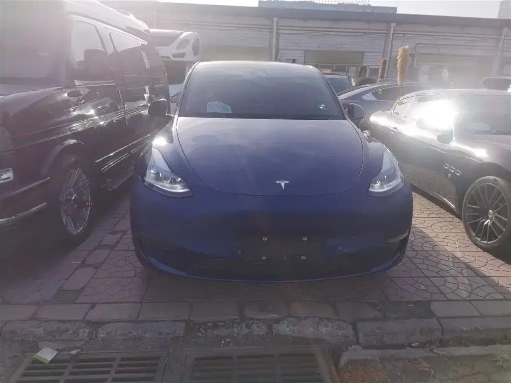 Tesla Model Y — фото 2