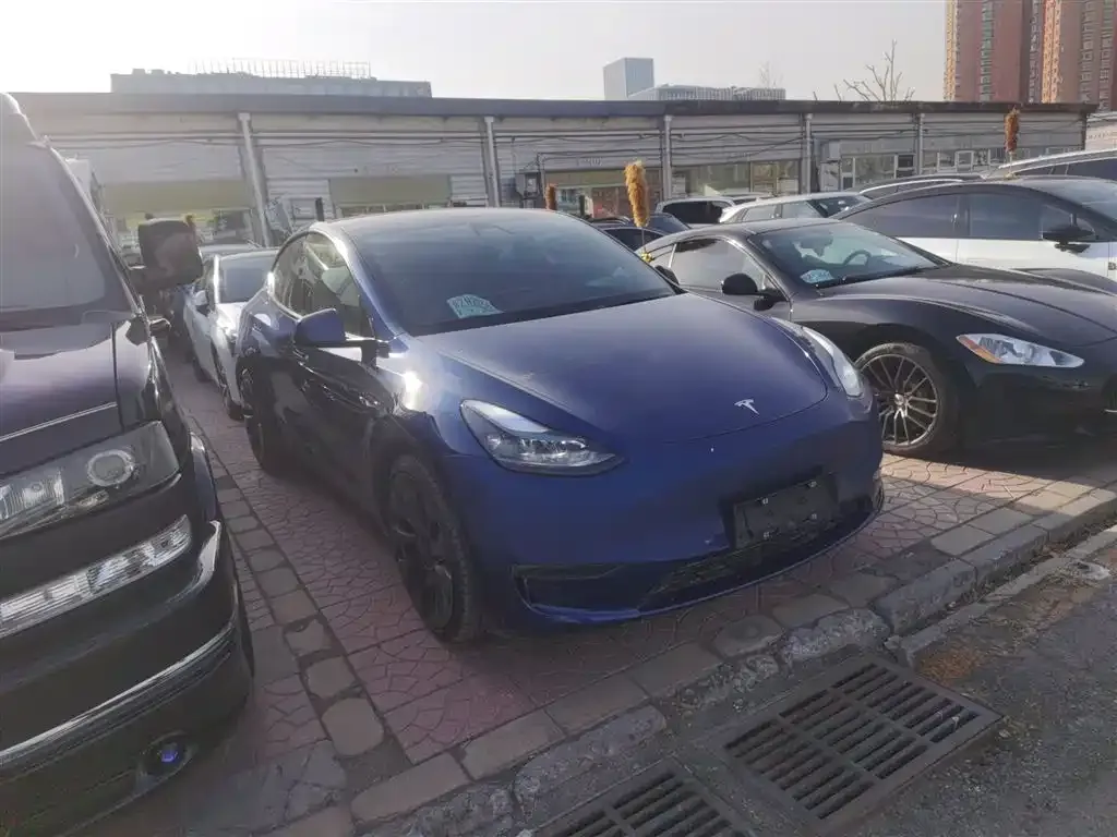 Tesla Model Y — фото 10