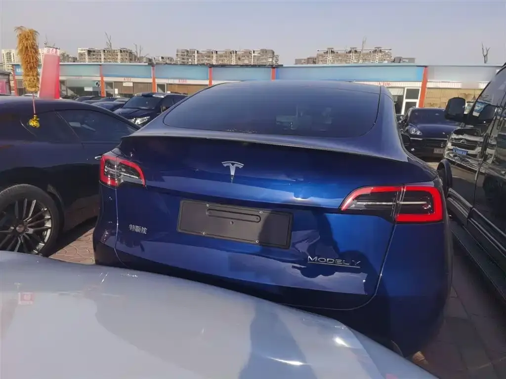 Tesla Model Y — фото 6