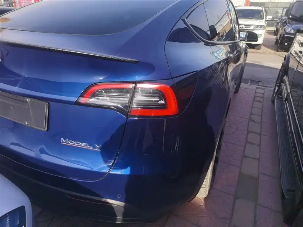 Tesla Model Y — фото 9