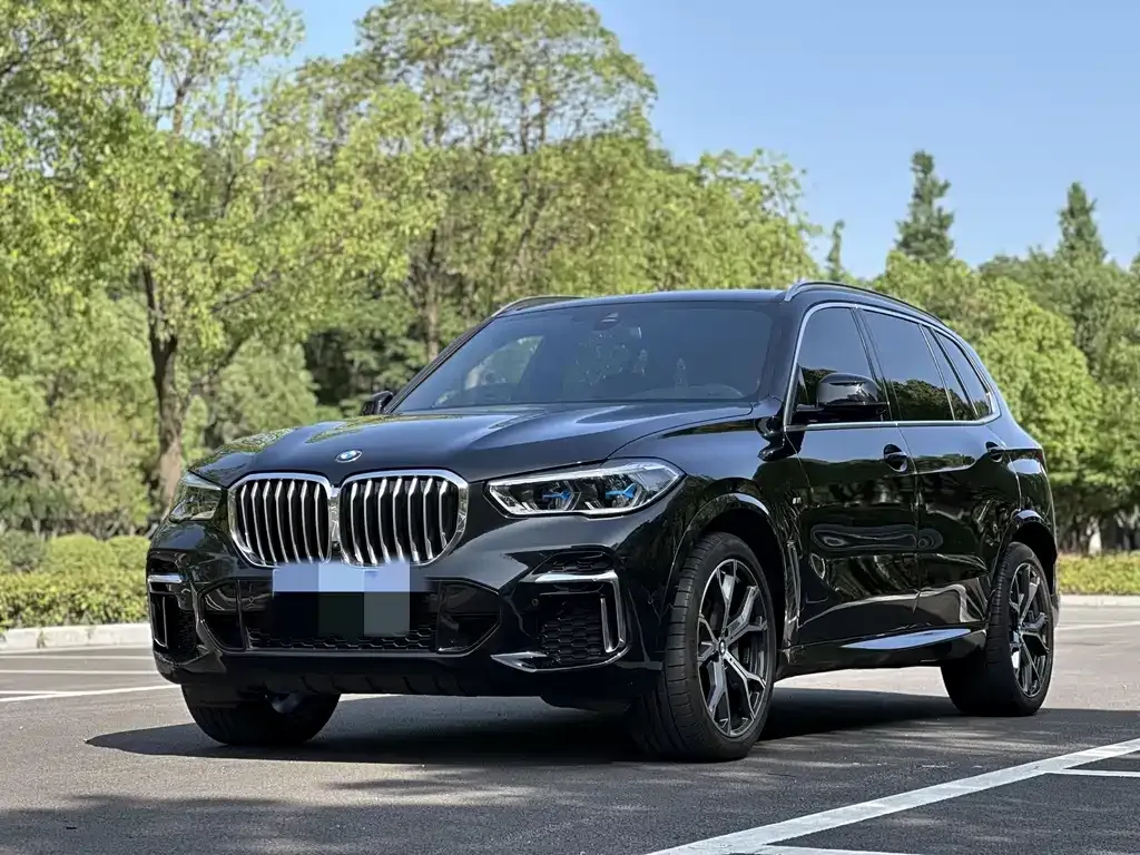 BMW X5 2023 из CN, фото 1