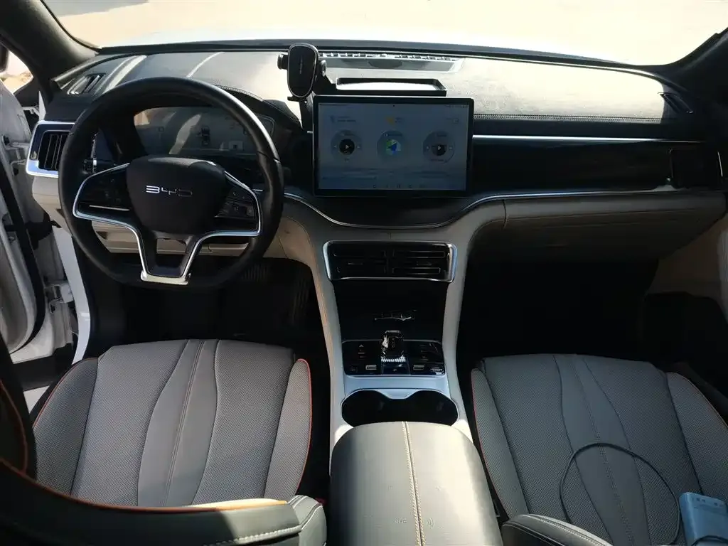 BYD PLUS New Energy 2024 из CN, фото 10