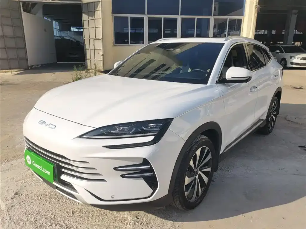 BYD PLUS New Energy 2024 из CN, фото 2