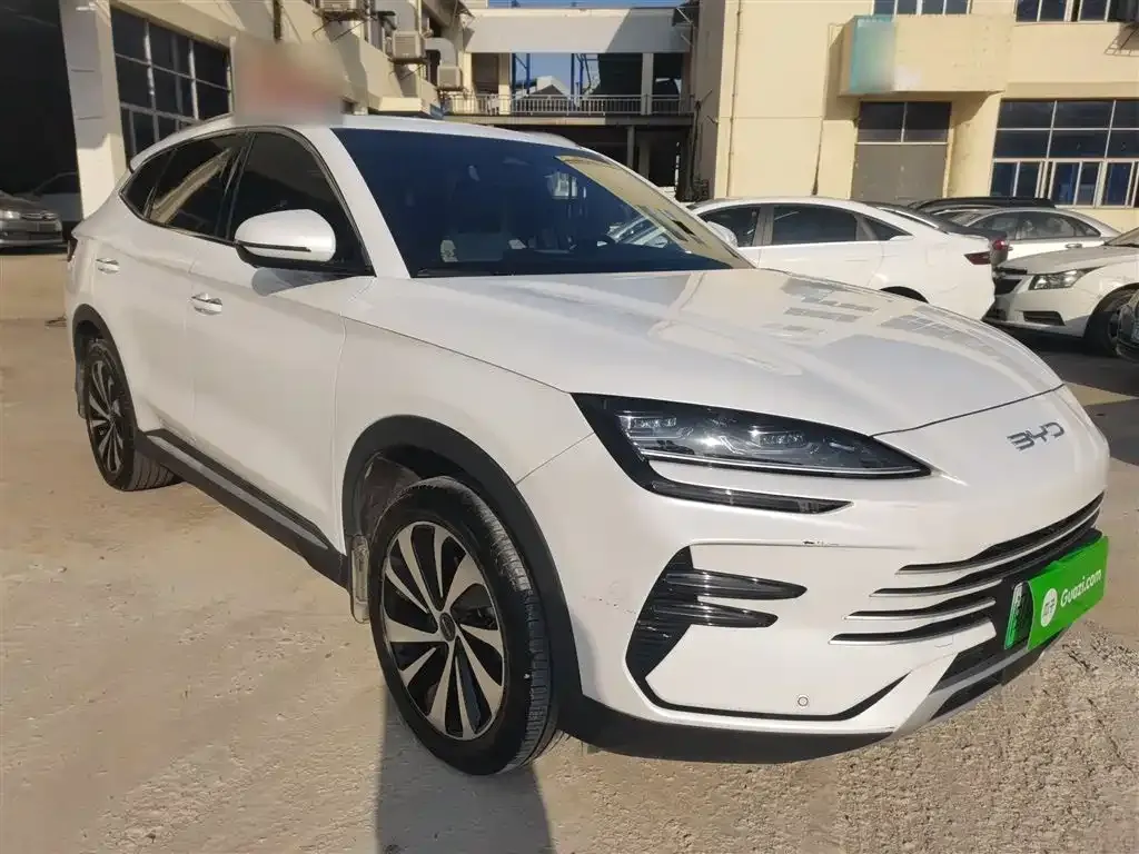 BYD PLUS New Energy 2024 из CN, фото 4