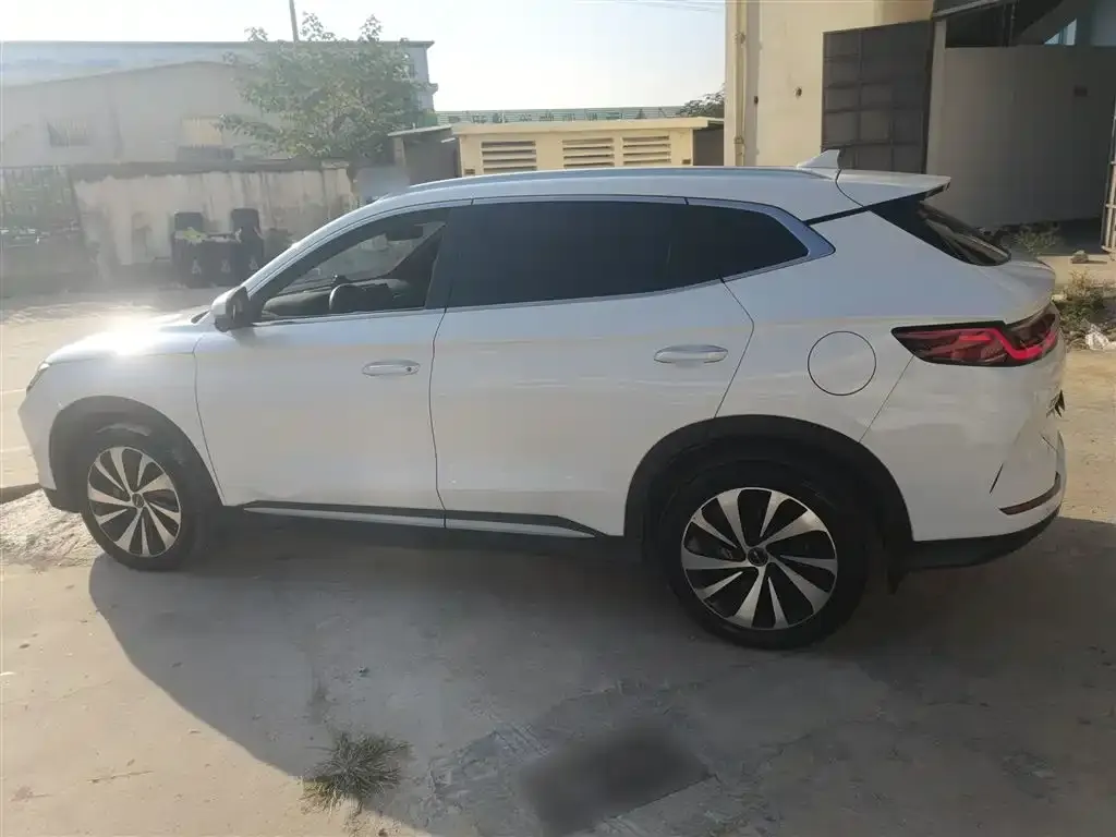 BYD PLUS New Energy 2024 из CN, фото 5