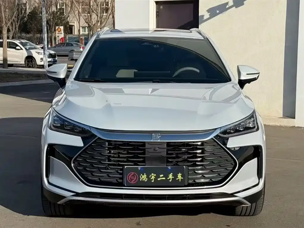 BYD Tang New Energy 2025 из CN, фото 2