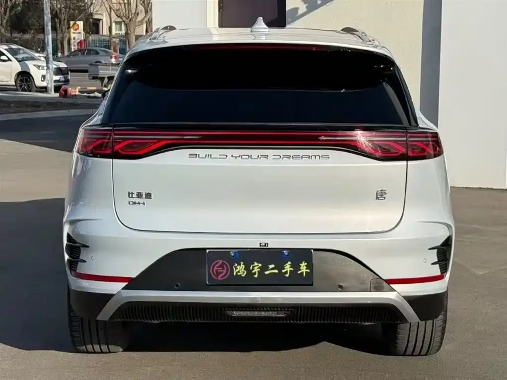 BYD Tang New Energy 2025 из CN, фото 5