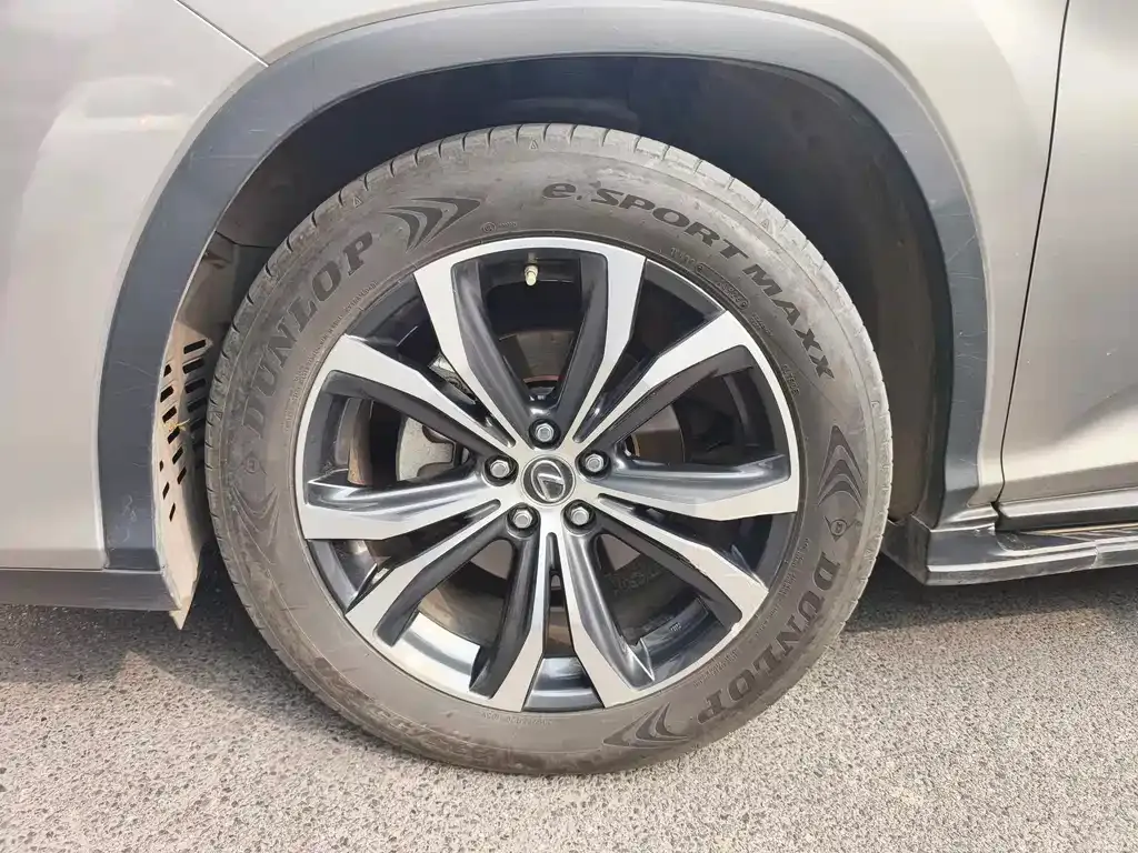 Lexus RX 2021 из CN, фото 9