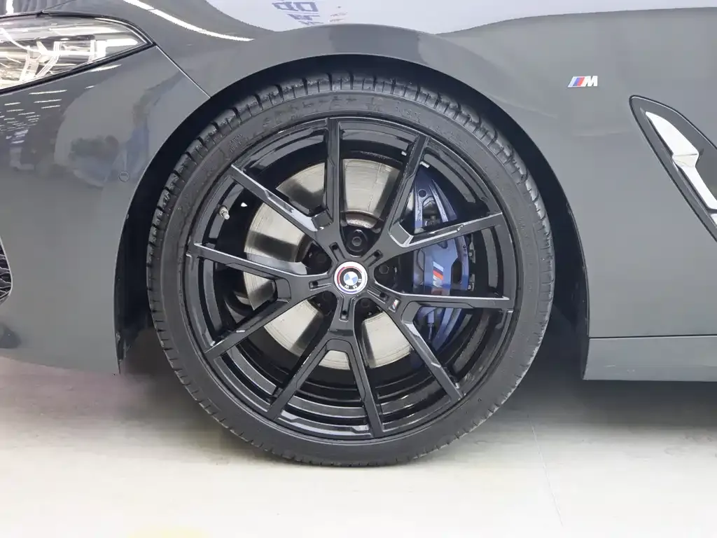 BMW 8 Series 2021 из CN, фото 8