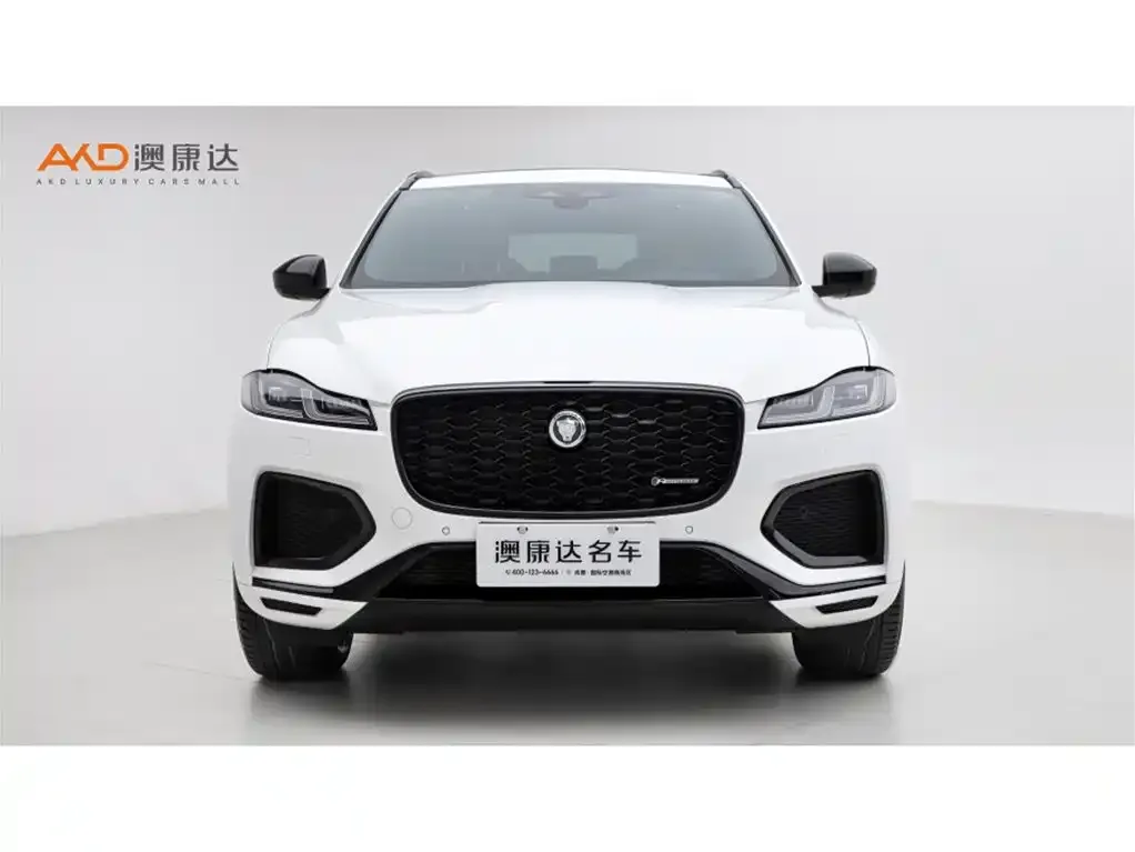Jaguar F-PACE 2024 из CN, фото 6
