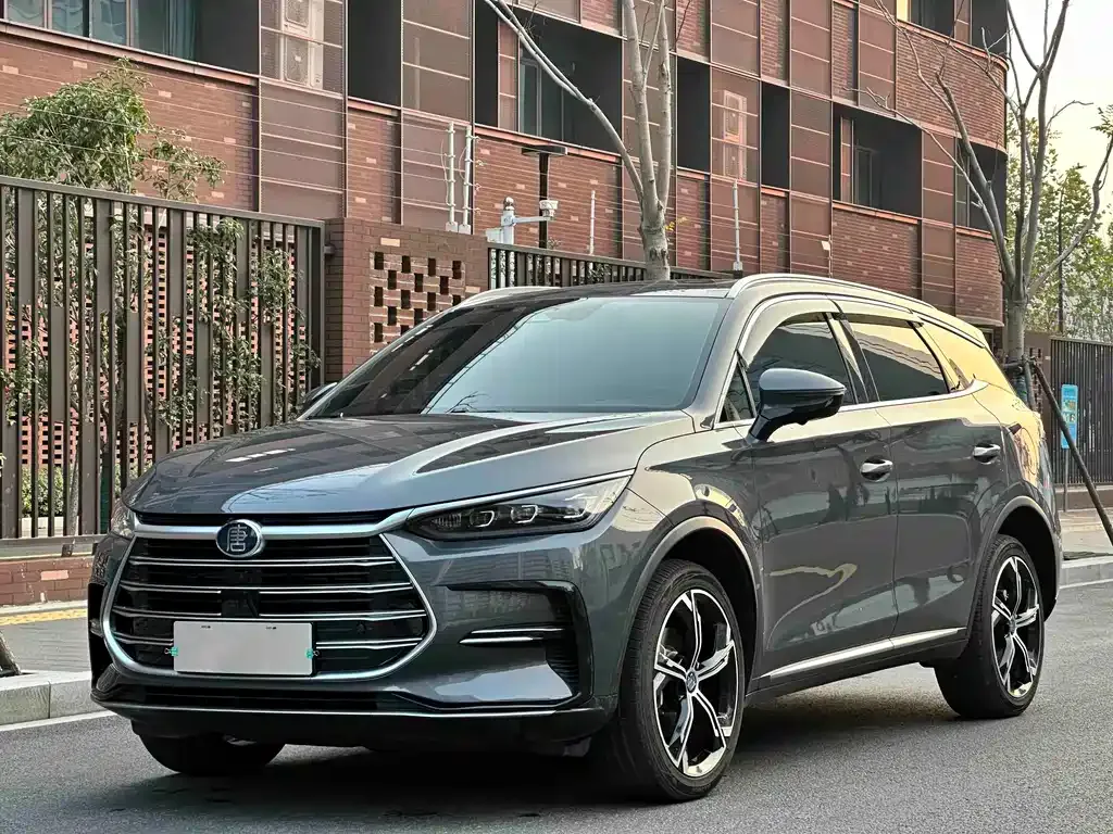 BYD Tang New Energy 2023 из CN, фото 1