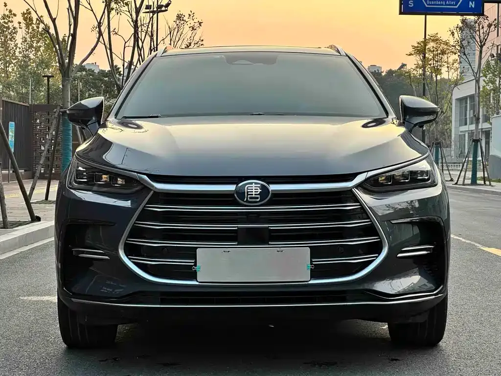 BYD Tang New Energy 2023 из CN, фото 5