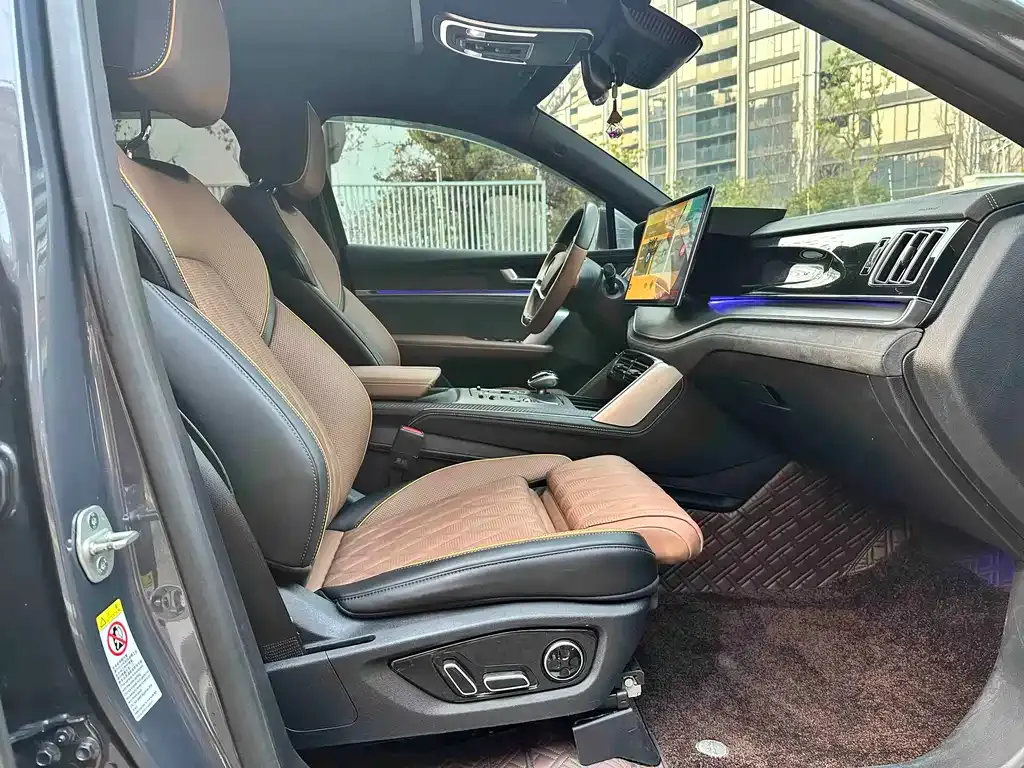 BYD Tang New Energy 2023 из CN, фото 10