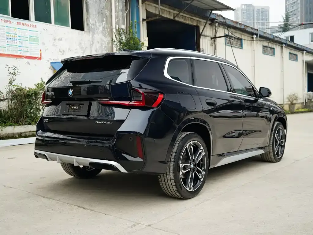 BMW X1 2023 из CN, фото 10