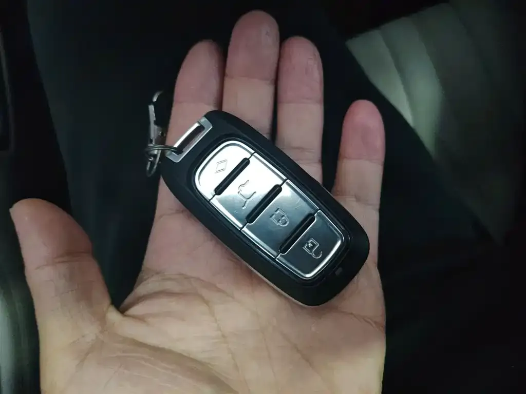 BYD Pro New Energy — фото 9
