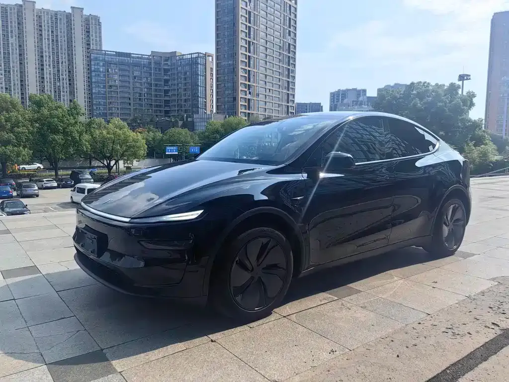 Tesla Model Y 2025 из CN, фото 5