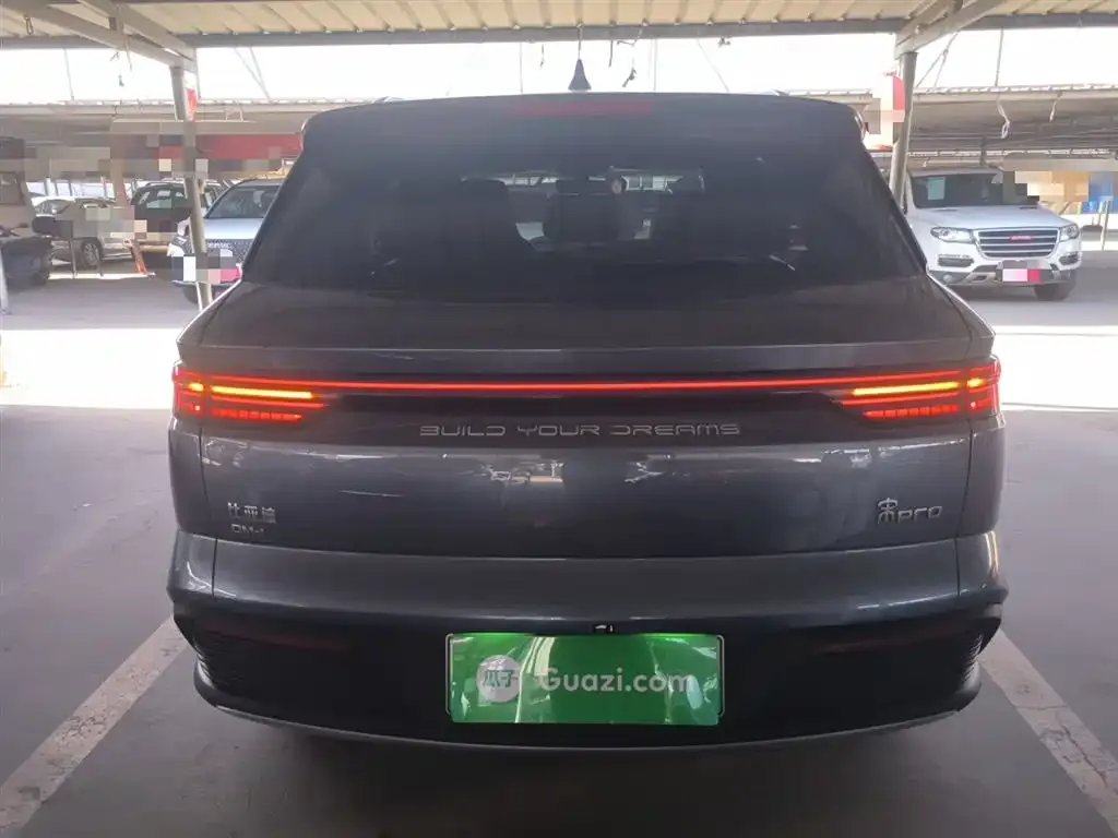 BYD Pro New Energy — фото 6