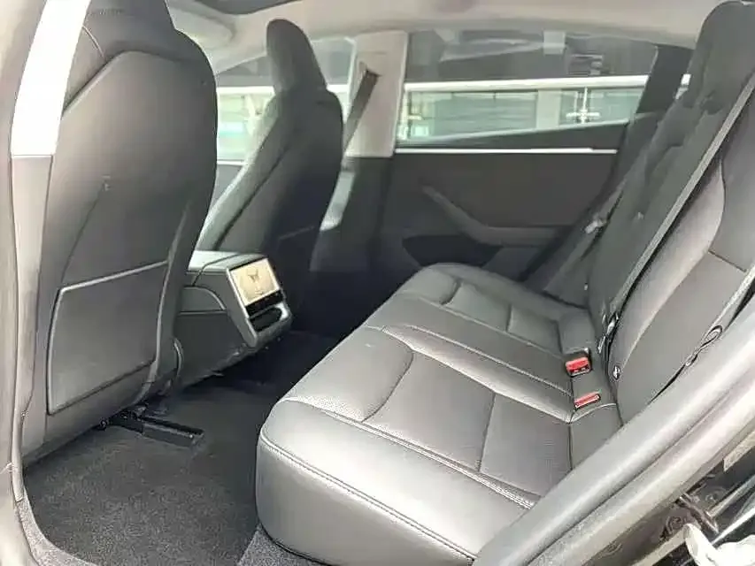 Tesla Model 3 2023 из CN, фото 2