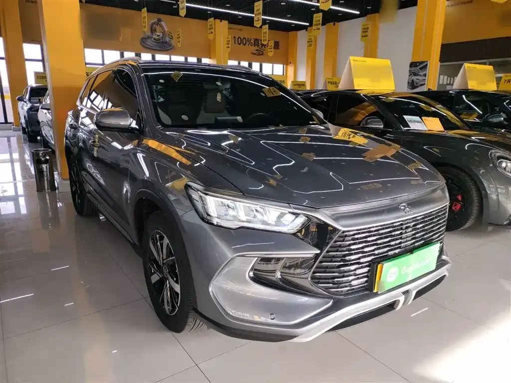 BYD Pro New Energy 2024 из CN, фото 2