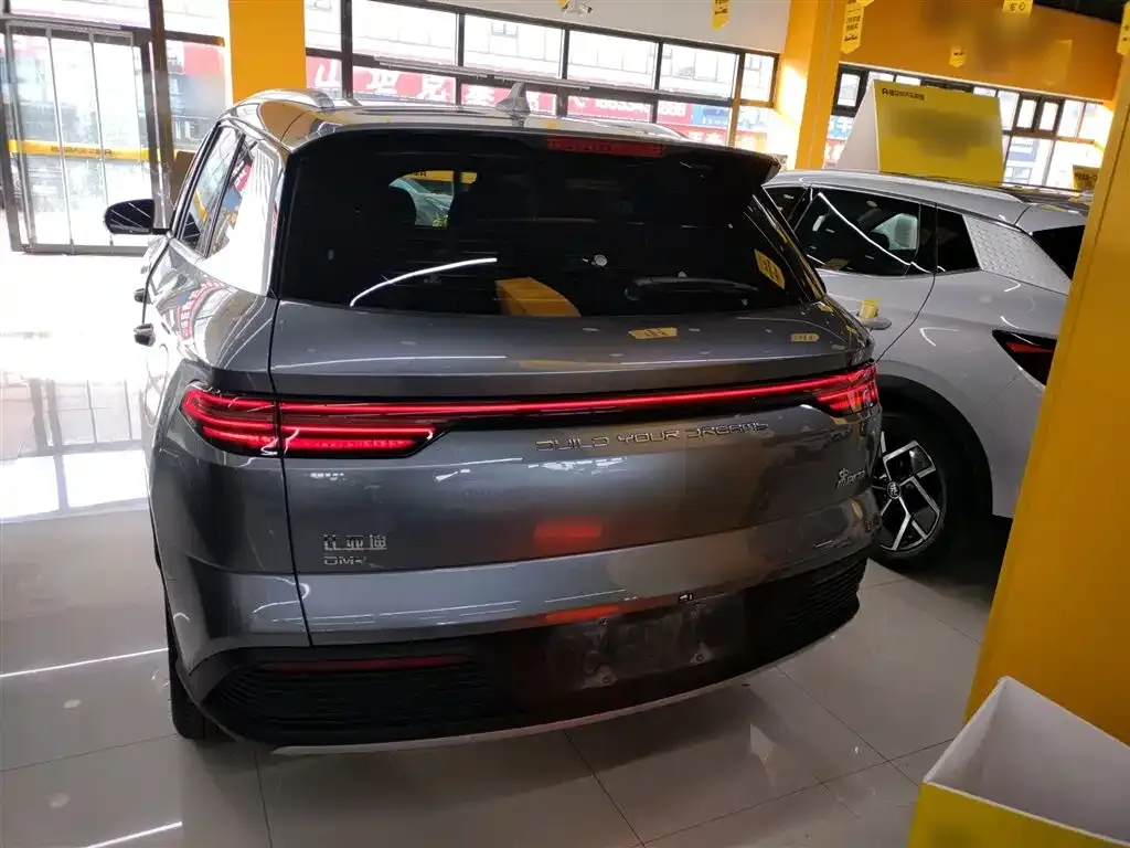 BYD Pro New Energy 2024 из CN, фото 8