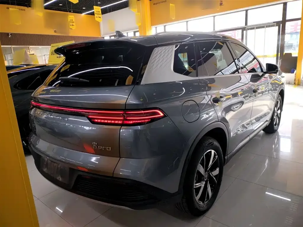 BYD Pro New Energy 2024 из CN, фото 7