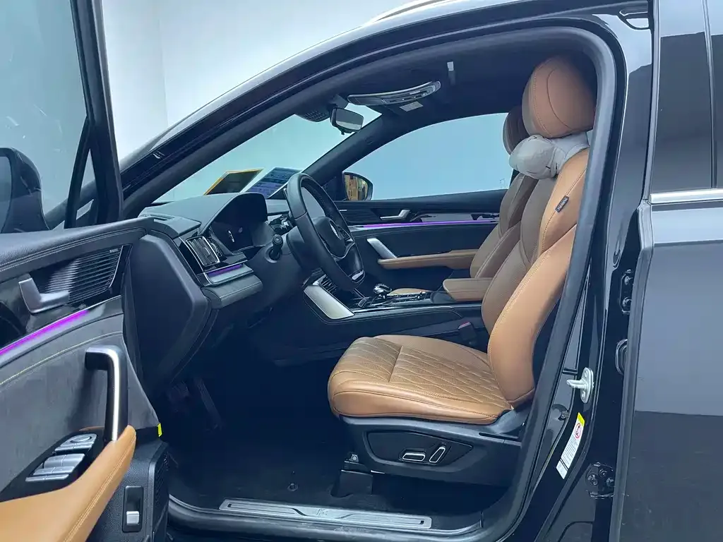 BYD Tang New Energy 2023 из CN, фото 10