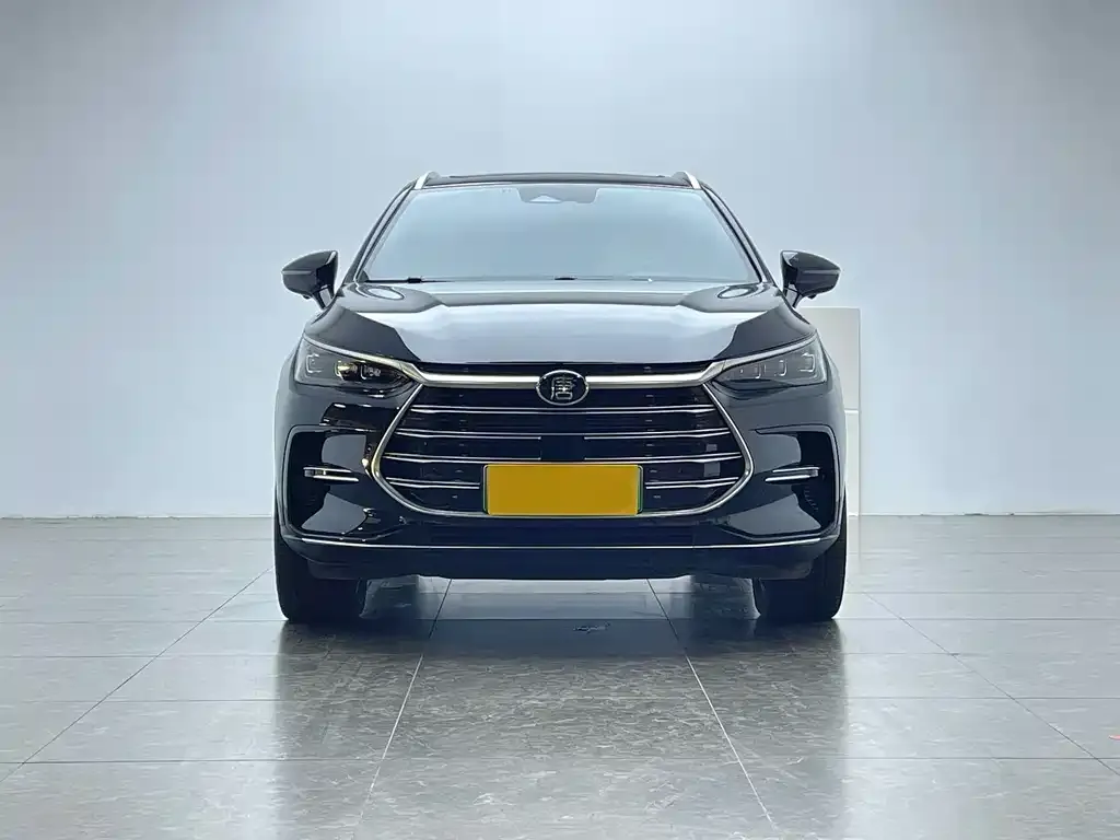 BYD Tang New Energy 2023 из CN, фото 9