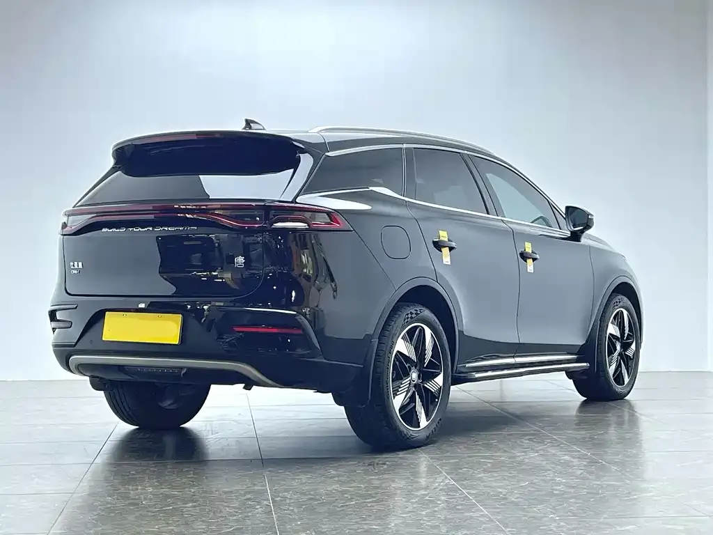 BYD Tang New Energy 2023 из CN, фото 7
