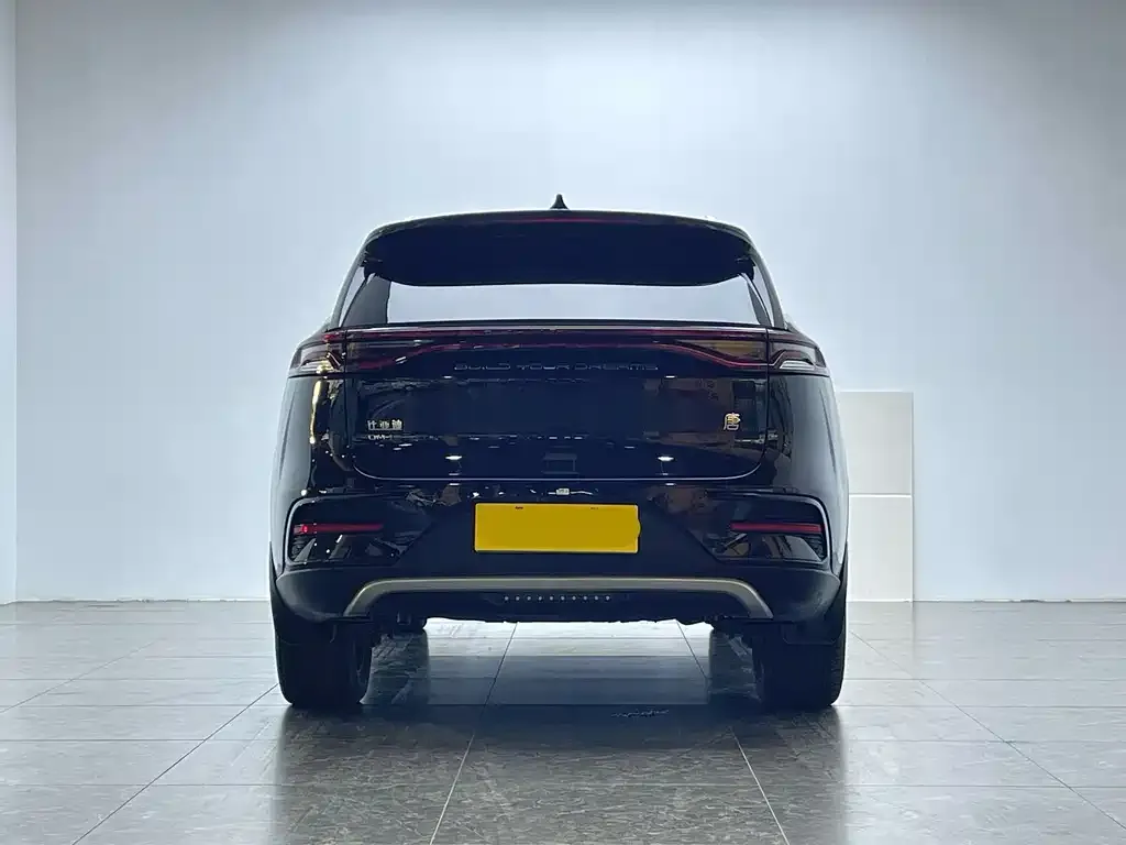 BYD Tang New Energy 2023 из CN, фото 6