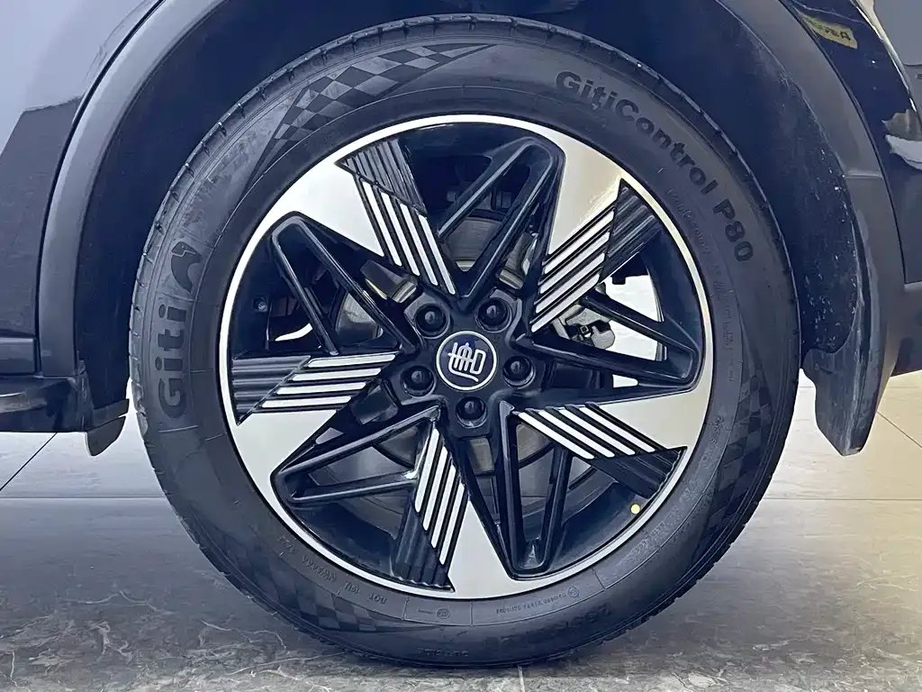 BYD Tang New Energy 2023 из CN, фото 5