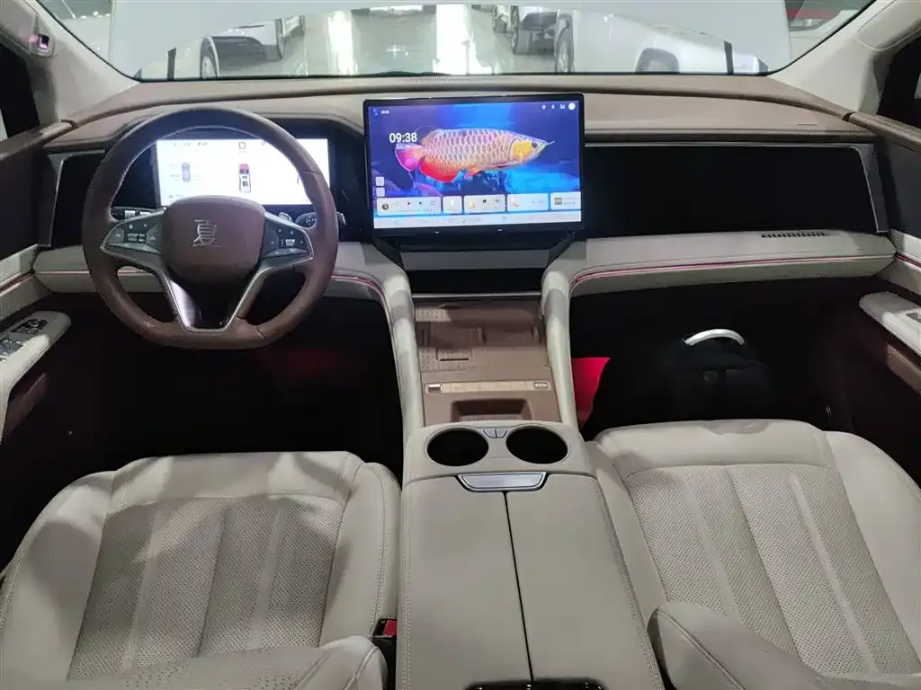 BYD Xia 2025 из CN, фото 9