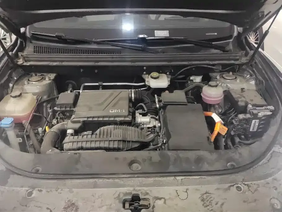 BYD Pro New Energy 2023 из CN, фото 10